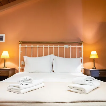 Trapela Areopolis, Boutique