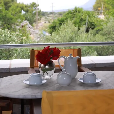 Trapela Areopolis, Boutique