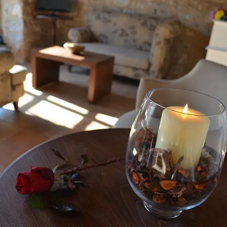 Trapela Areopolis, Boutique Areópolisz