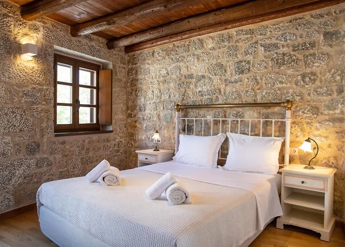 Trapela Areopolis, Boutique