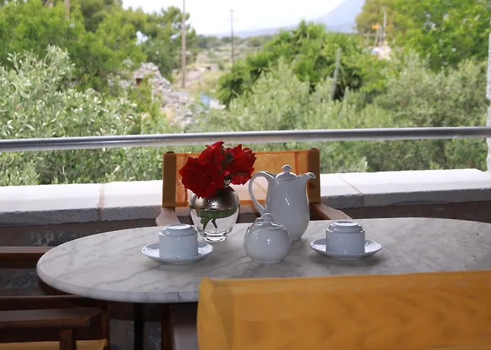 Trapela Areopolis, Boutique